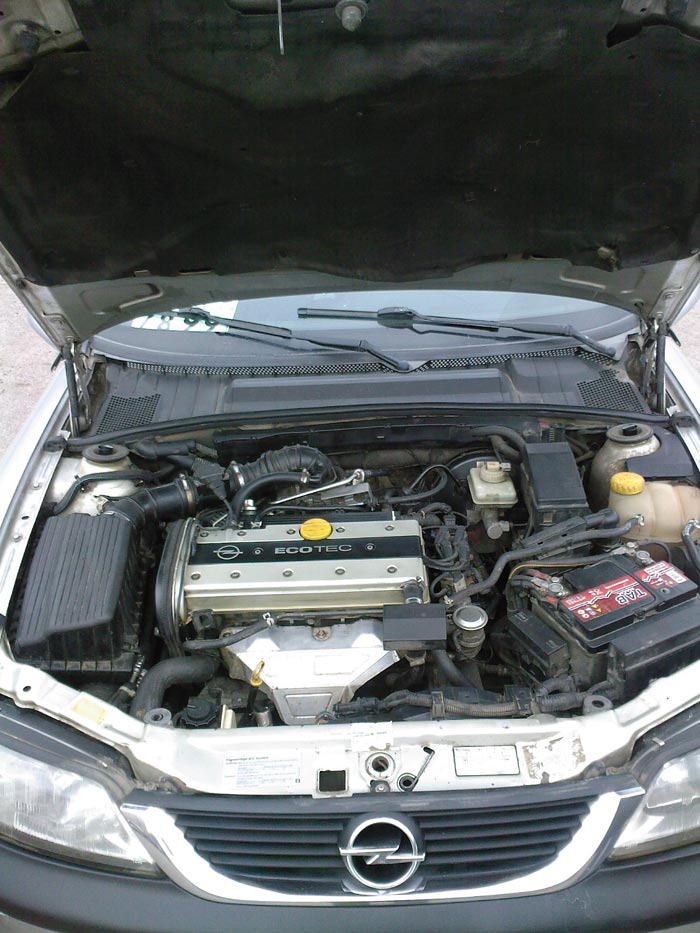  Ecotec